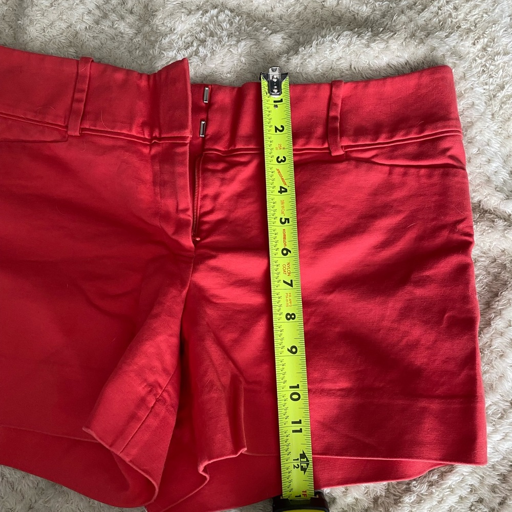 Shorts - Picture 5 of 5
